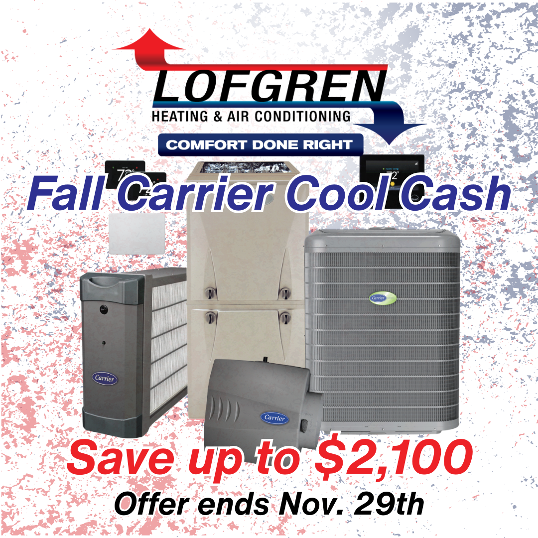 Fall Cool Cash